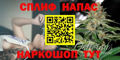 ECSTASY Гусь-Хрустальный