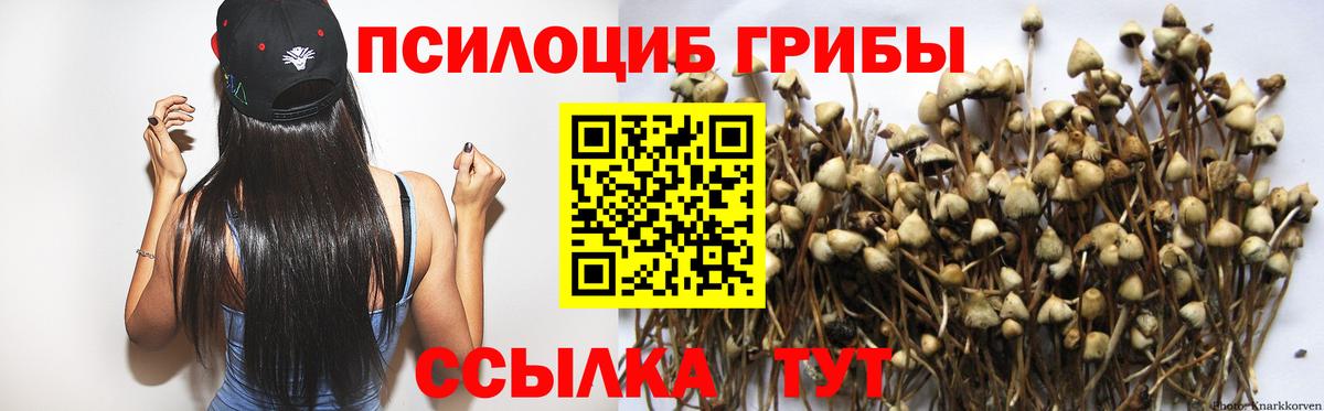 Галлюциногенные грибы ЛСД  Вход с VPN  Кумертау 